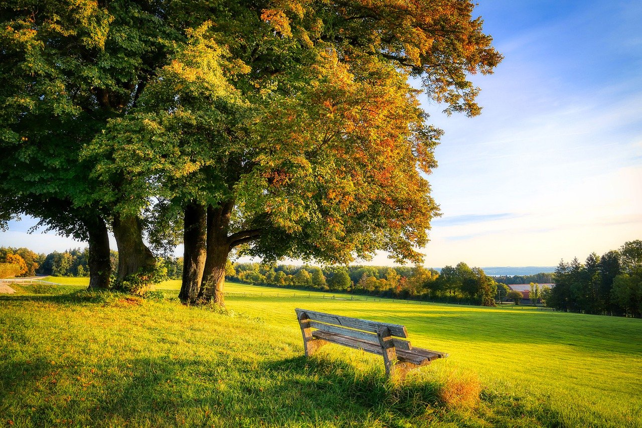 nature, bench, autumn-6685262.jpg